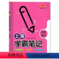 语文 初中通用 [正版]上海学霸笔记初中语文通用版6789年级/六七八九年级通用初中学霸笔记数学漫画图解速查速记全彩版中