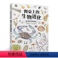 盛口满的手绘自然图鉴:餐桌上的生物进化 [正版] 餐桌上的生物进化 博物学家盛口满作品 培养孩子的观察思考能力 科普