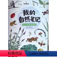 [正版]和大自然做游戏(我的自然笔记)