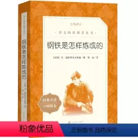 [正版]钢铁是怎样炼成的(《语文》阅读丛书)人民文学出版社