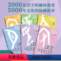 汉字就是这么来的 全6册 [正版]康震汉字就是这么来的全6册 孟琢8-9-10-11-12岁儿童趣味汉字书中国文化书小学