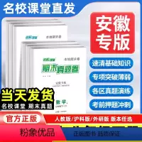 语文[人教版] 七年级下 [正版]安徽专版2024版期末真题卷初中七年级八年级下册测试卷全套语文数学英语物理初一二基础专
