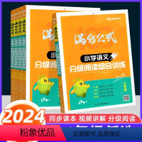 星火语文分级组合阅读 小学一年级 [正版]2024新版星火小学语文阅读理解专项训练书一二三年级四五六年级分级组合训练人教