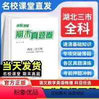语文[人教版] 七年级下 [正版]湖北三市专版2024新版名校课堂期末真题卷七年级八年级下册测试卷全套语文数学英语物理人