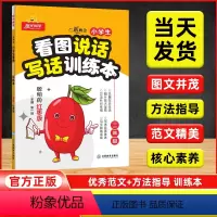 看图说话写话训练本[红枣版] 小学二年级 [正版]2024版阳光同学看图说话写话训练本二年级上下册红枣版 小学生语文2年