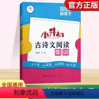 [正版]2024版小升初古诗文阅读集训 小学生古诗文培优新帮手六年级上下册古诗词文言文默写诵读学习辅导资料练习题小升初