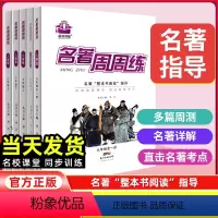 名著周周练 七年级下 [正版]名著周周练名著导读考点精练初中七年级下八年级下册九年级全一册中考名著考点解读初中生经典名著
