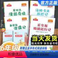 快乐读书吧[4本套] 六年级下 [正版]2024新版阳光同学快乐读书吧六年级下册鲁滨逊漂流记汤姆索亚历险记爱丽丝漫游奇境
