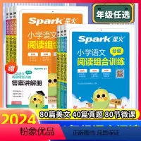 星火语文分级组合阅读 小学一年级 [正版]2024版星火小学语文阅读理解专项训练书三年级四五六年级分级组合训练人教版80
