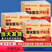 语文[人教版] 七年级下 [正版]2024新版初中期末复习冲刺卷七八年级下册语文数学英语物理生物道德与法治政治历史地理初