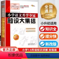 [正版]2024新版小升初知识大集结小学语文升学夺冠基础重点知识大全通用版 68所名校毕业升学系统总复习资料三四五六年