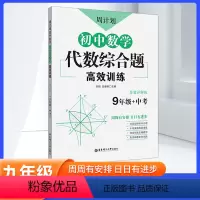 数学 全国通用 [正版]周计划初中数学代数综合题高效训练九9年级 初中9九年级上下册数学思维训练应用题 中考真题必刷题专