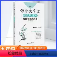 语文 [正版]周计划课外文言文阅读高效训练120篇语文九年级上册下册 初中初三9九年级全一册中学生教辅书阅读训练 课外文