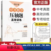 [正版]中考数学压轴题高效训练函数九年级周计划 初中初三3九9年级中考真题实战演练 重点题型专项突破专项强化训练同步训
