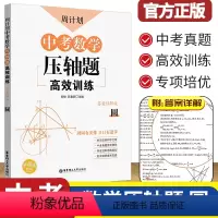 中考数学压轴题高效训练[圆] 初中通用 [正版]中考数学压轴题高效训练圆九年级周计划初中初三3九9年级上下册中考
