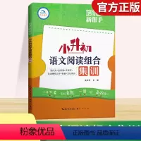 语文阅读组合集训 小学升初中 [正版]2024新版小升初语文阅读组合集训阅读理解专项训练 培优新帮手英语文言文现代文古诗