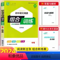 语文阅读组合训练[江西专版] 九年级/初中三年级 [正版]江西专版2024新版通城学典初中语文阅读组合训练中考九年级 初