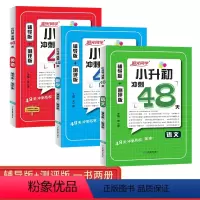 语文+数学+英语[3本套] 小学升初中 [正版]2024新版阳光同学小升初冲刺48天精选真题必刷题语文数学英语全套辅导版