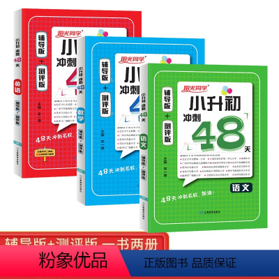 语文+数学+英语[3本套] 小学升初中 [正版]2024新版阳光同学小升初冲刺48天精选真题必刷题语文数学英语全套辅导版
