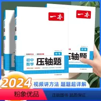 初中数学压轴题 九年级/初中三年级 [正版]2024新版 一本数学压轴题九年级中考初中数学有理数方程初三数学必刷题上下册