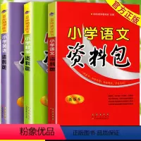 语文+数学+英语资料包 小学通用 [正版]2024新版本小学语文资料包人教版小学生一二三年级四五六年级英语基础知识大全手
