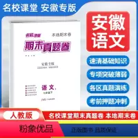 语文[人教版] 七年级下 [正版]安徽专版2024新版期末真题卷七年级下册语文人教版