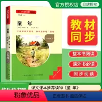 童年 [正版]名校课堂快乐读书吧六年级上册童年 基于学习任务群的阅读小学生课外阅读书籍必读经典书目彩图版名校课堂读书侠