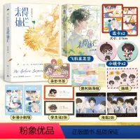 [正版]透卡飞机盒小镜子未得灿烂 高台树色校园成长代表作 青春文学白日事故成长救赎 穿堂惊掠琵琶声 超多赠品博集天卷热