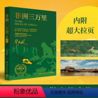 [正版]非洲三万里 毕淑敏著 对非洲风土人情的亲身体验和实地考察 以悲悯的人文情怀注视这片古老的土地 博集天卷