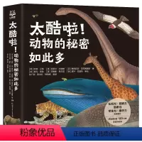 太酷啦!动物的秘密如此多(全12册) [正版]太酷啦!动物的秘密如此多(全12册)凯特·贝蒂著 12大动物主题 近8