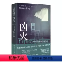 [正版]凶火2024版 斯蒂芬金 肖申克的救赎 异能少女的觉醒之路 只有烧毁别人对自己的定义 我们才能真正成人 新书4