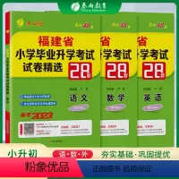 语数英套装 小学升初中 [正版]2023版福建小升初升学套装2022年福建省小学毕业升学考试卷精选真题卷28套卷语文数学