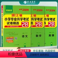 语数英3本套装 小学升初中 [正版]备考2024年浙江小升初升学考试语文数学英语套装2023年浙江小学毕业升学考试真题试