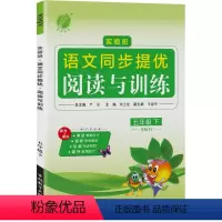 语文 五年级下 [正版]2024年春 小学语文实验班同步提优阅读与训练五年级语文下册人教版 5年级下册RJ版阅读理解写作