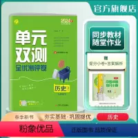 历史 九年级下 [正版]2024年春 初中历史单元双测九年级下册人教版 9年级下册初三RJ基础达标训练综合培优期中期末全