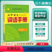 语文 八年级下 [正版]2024年春 初中语文词语手册八年级下册人教版 8年级下册RJ教科书配套用书词语学习理解辨析词句