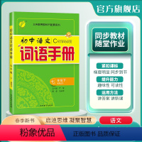 语文 七年级下 [正版]2024年春 初中语文词语手册七年级下册人教版 春雨教育7年级下册RJ版教科书配套用书词语学习理