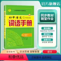 语文 七年级下 [正版]2024年春 初中语文词语手册七年级下册人教版 春雨教育7年级下册RJ版教科书配套用书词语学习理