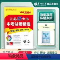 语文 九年级/初中三年级 [正版]2024年江苏省中考语文冲刺试卷2023江苏省中考语文真题试卷精选 春雨教育 九年级下