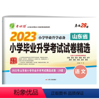 语文 小学升初中 [正版]山东省备考2023山东版省小升初考试语文高分冲刺试卷2022山东省小学毕业升学考试真题试卷精选