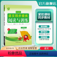 语文 二年级下 [正版]2024年春 小学语文实验班同步提优阅读与训练二年级语文下册人教版 春雨教育2年级下册RJ版阅读