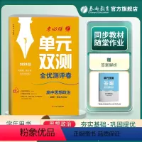 思想政治 必修3 [正版]2024新版 高中单元双测思想政治必修3政治与法治人教版 RJ必修3基础达标训练综合培优期中期