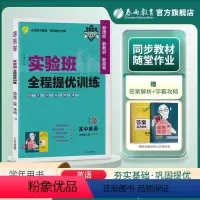 英语 高中一年级 [正版]2024新版 实验班全程提优训练高中英语必修第三册译林版 必修3英语YL版同步训练提优基础思维