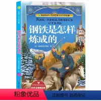 钢铁是怎样炼成的 [正版]钢铁是怎样炼成的彩绘全集注音版原版原著小学少儿读物课外阅读书籍0-3-6-12周岁儿童阅读一二