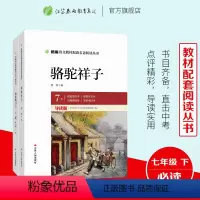 [正版]七年级下册 骆驼祥子+海底两万里 初中生阅读的原著 人教版文学老舍 统编课外阅读名著书籍中学生初中版套装