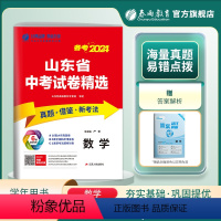 数学 山东省 [正版]山东版2024新版山东省中考数学考前冲刺试卷2023年山东省中考数学真题精选试卷中考数学真题预测模