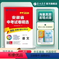 语文 安徽省 [正版]安徽版备考2024安徽省中考语文考前冲刺预测模拟试卷2023年安徽省中考语文真题精选试卷中考语文真