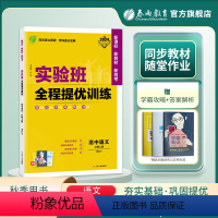 语文 必修上册 [正版]2023新版 高中实验班全程提优训练语文必修上册人教版 语文必修上册RJ版同步训练提基础思维拓展