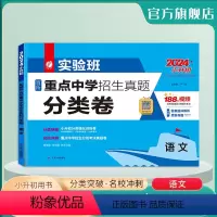 [正版]2024版 实验班百所重点中学招生真题分类卷语文 新初一全国名校分班卷语文真题 小升初分班考试真题模拟预测试卷