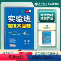 语文 八年级上 [正版]2023年秋 初中语文实验班提优大考卷八年级上册人教版 8年级上册RJ版单元基础巩固分层能力提优